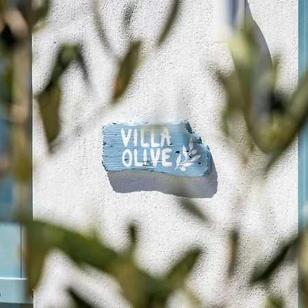 Olive 스코펠로스 타운